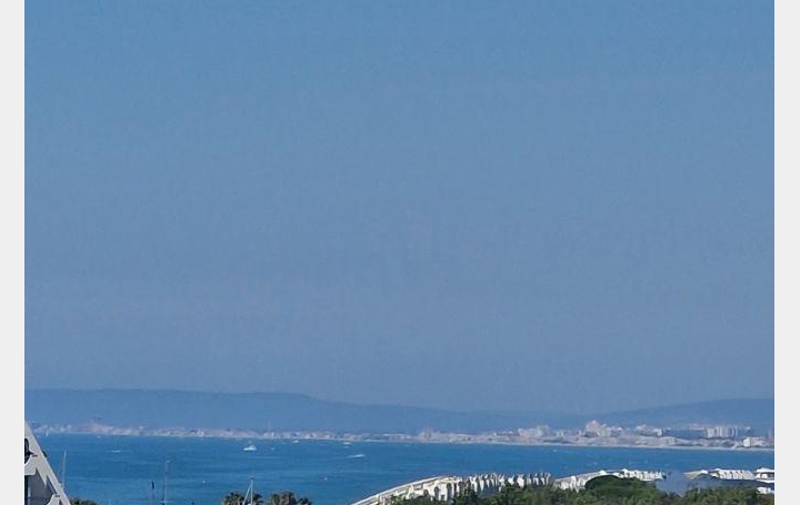 Studio LA GRANDE-MOTTE (34280)  25 m2 235 € 