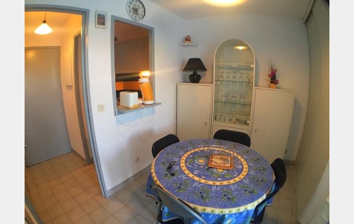 2 Pièces LA GRANDE-MOTTE (34280)  28 m2 259 € 