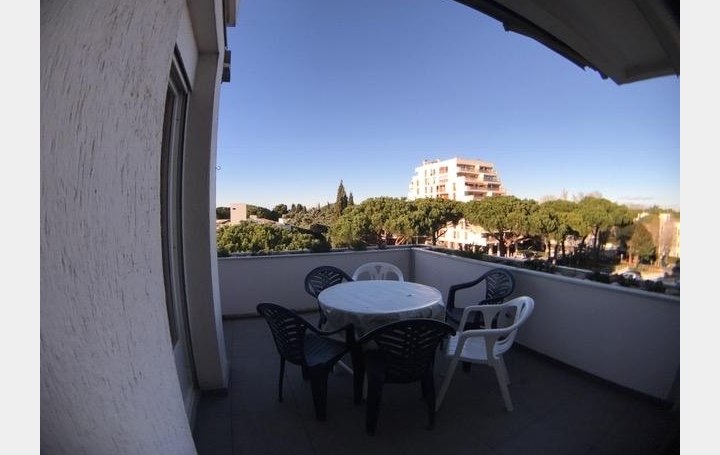 2 Pièces LA GRANDE-MOTTE (34280)  40 m2 273 € 