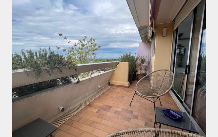 Studio LA GRANDE-MOTTE (34280)  20 m2 250 € 