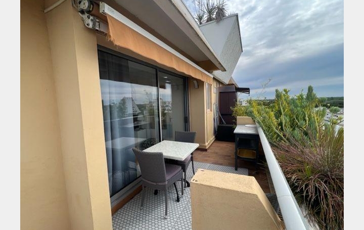 Studio LA GRANDE-MOTTE (34280)  20 m2 250 € 