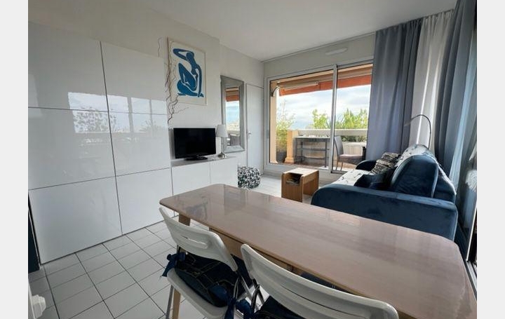 Studio LA GRANDE-MOTTE (34280)  20 m2 250 € 