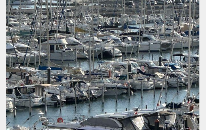 Studio LA GRANDE-MOTTE (34280)  35 m2 250 € 