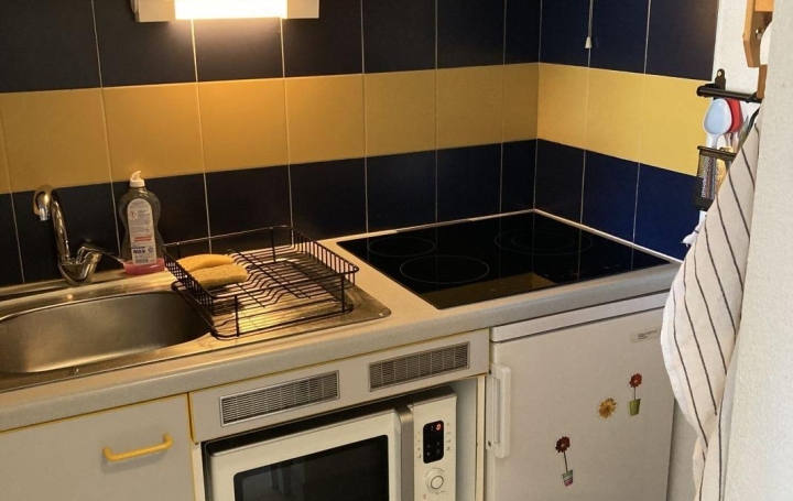 Studio LA GRANDE-MOTTE (34280)   375 € 