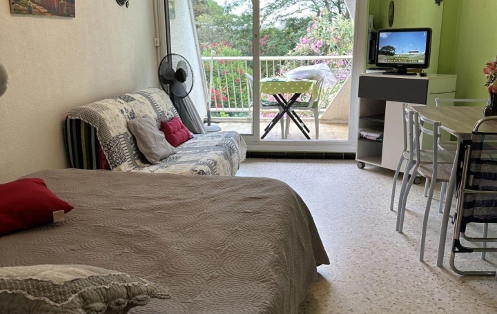 Studio LA GRANDE-MOTTE (34280)   375 € 