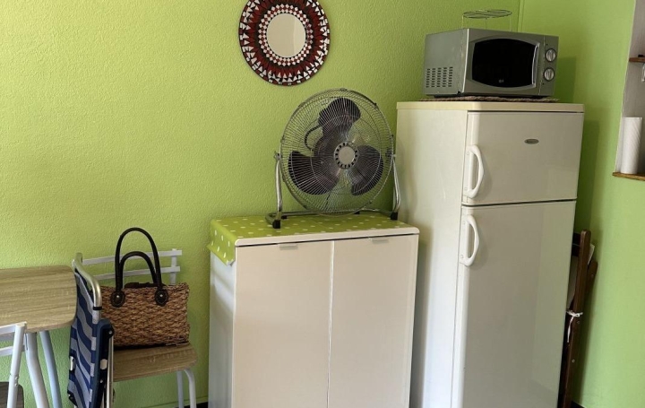 Studio LA GRANDE-MOTTE (34280)   375 € 