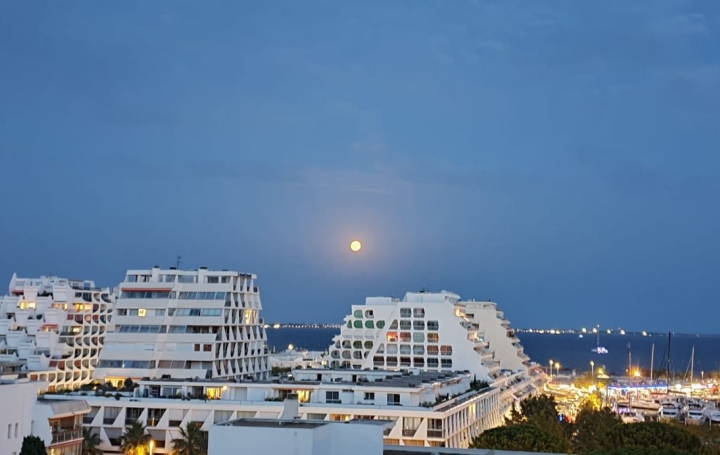 2 Pièces LA GRANDE-MOTTE (34280)   620 € 