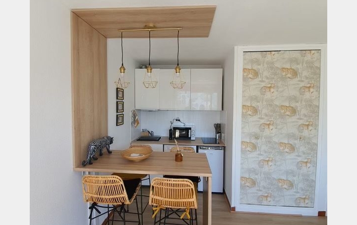 Studio LA GRANDE-MOTTE (34280)  23 m2 570 € 