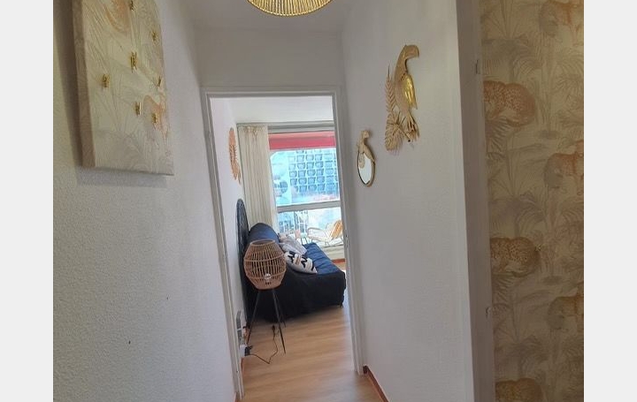 Studio LA GRANDE-MOTTE (34280)  23 m2 570 € 