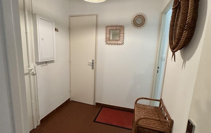 2 Pièces LA GRANDE-MOTTE (34280)  45 m2 800 € 