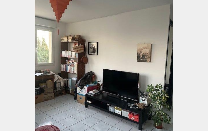 2 Pièces MONTPELLIER (34000)  47 m2 720 € 