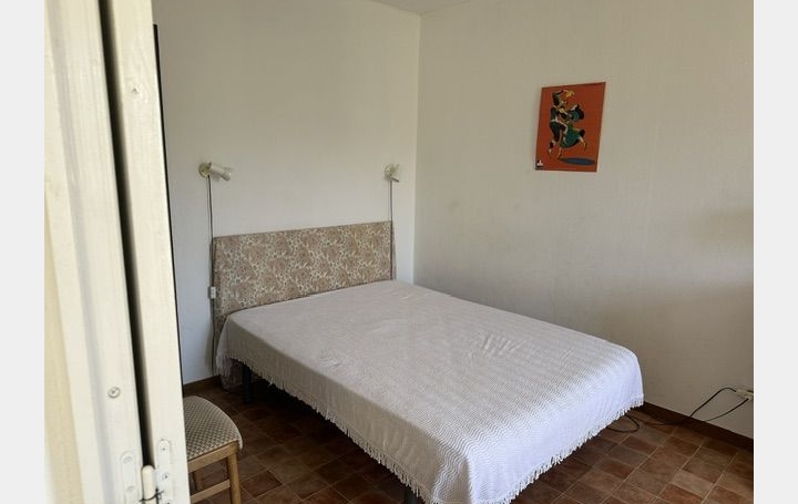 2 Pièces LA GRANDE-MOTTE (34280)  53 m2 311 € 