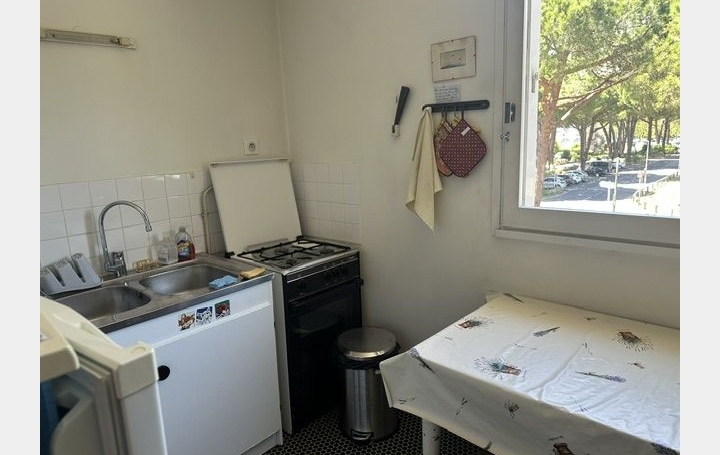 2 Pièces LA GRANDE-MOTTE (34280)  53 m2 311 € 