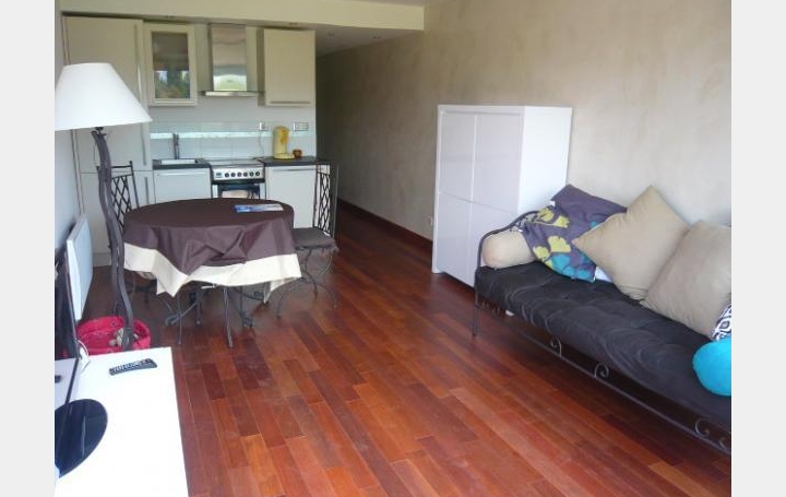 Réseau Immo-diffusion : Appartement P2  MIREVAL  40 m2 750 € 