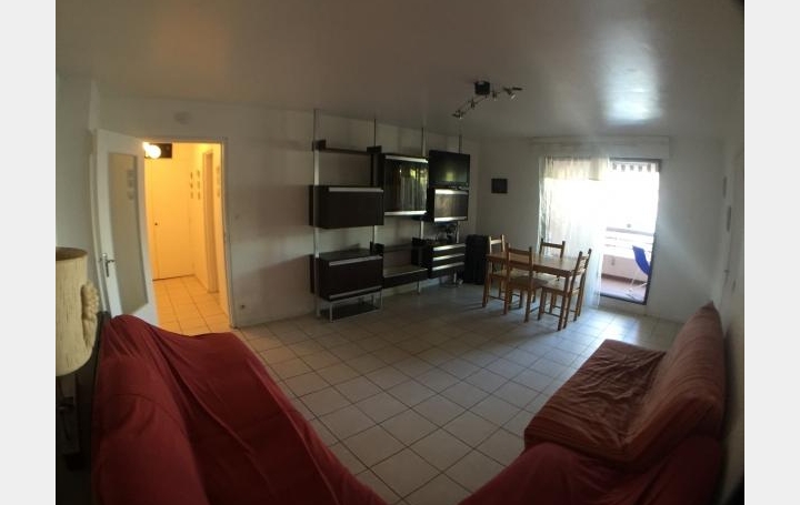 2 Pièces LA GRANDE-MOTTE (34280)  54 m2 299 € 