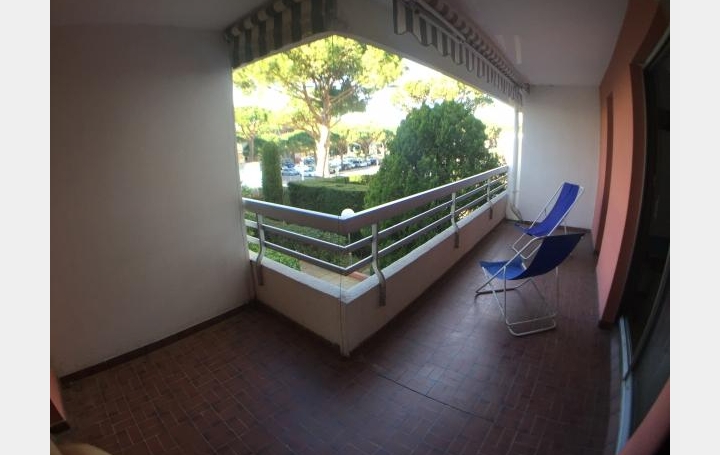 2 Pièces LA GRANDE-MOTTE (34280)  54 m2 299 € 