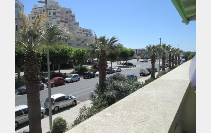 Studio LA GRANDE-MOTTE (34280)  28 m2 216 € 