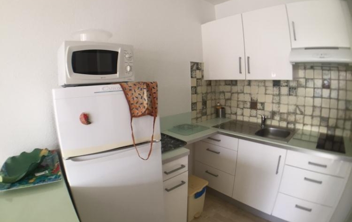 Studio LA GRANDE-MOTTE (34280)  28 m2 216 € 