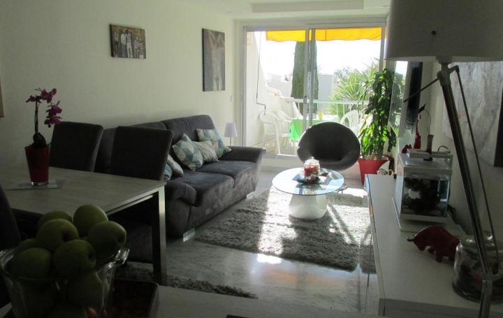 Réseau Immo-diffusion : Appartement P2  LA GRANDE-MOTTE  46 m2 270 000 € 