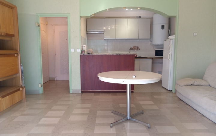 2 Pièces LA GRANDE-MOTTE (34280)  44 m2 234 000 € 