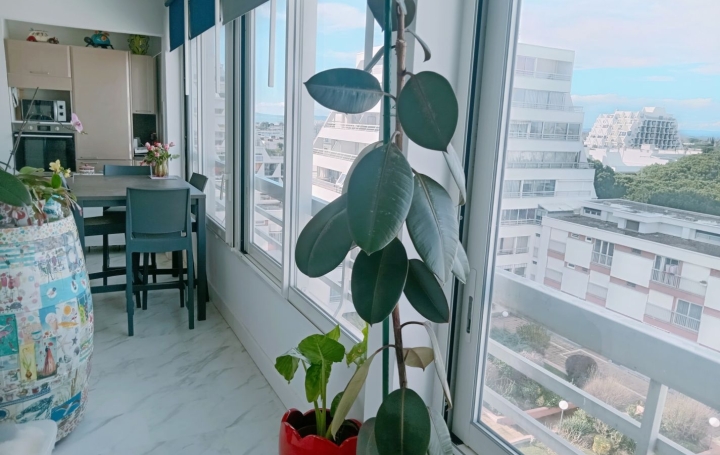 2 Pièces LA GRANDE-MOTTE (34280)  60 m2 369 000 € 