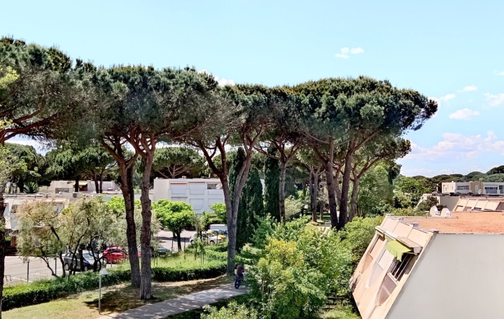 Studio LA GRANDE-MOTTE (34280)  23 m2 139 000 € 