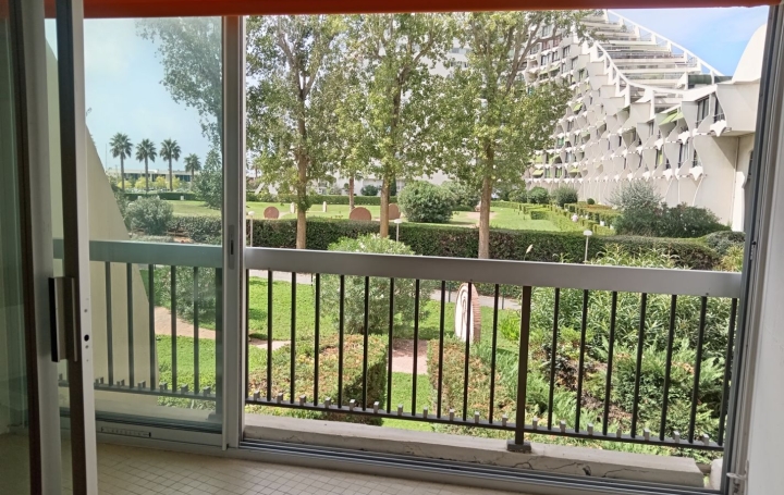 Studio LA GRANDE-MOTTE (34280)  23 m2 118 000 € 