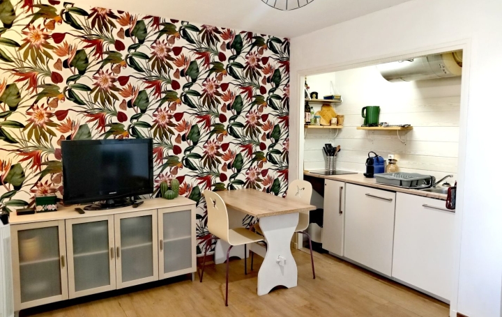 Appartement LA GRANDE-MOTTE (34280) 21 m<sup>2</sup> 118 000 € 