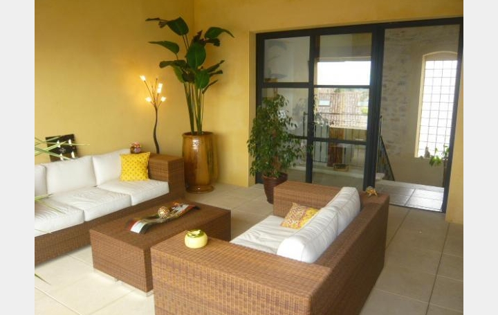 Réseau Immo-diffusion : Maison  SAINT-LAURENT-D'AIGOUZE  260 m2 750 000 € 