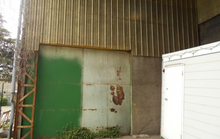 Autre SAINT-GILLES (30800)  850 m2 275 000 € 