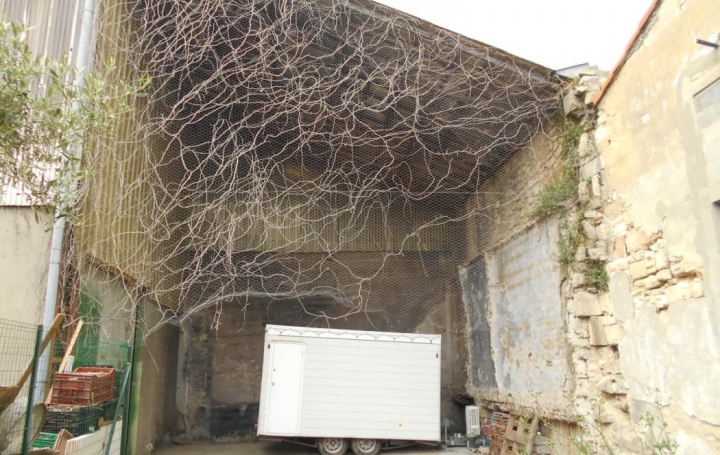 Autre SAINT-GILLES (30800)  850 m2 275 000 € 