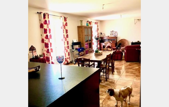 Maison SAINT-GILLES (30800)  111 m2 210 000 € 