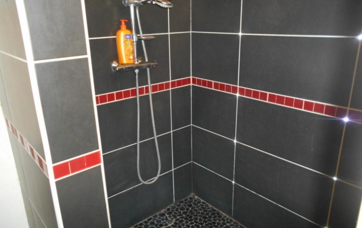 Maison SAINT-GILLES (30800)  111 m2 210 000 € 