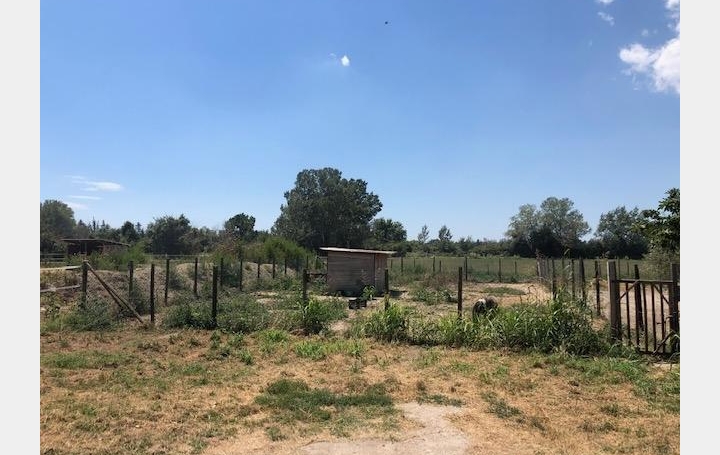 Maison SAINT-GILLES (30800)  111 m2 210 000 € 