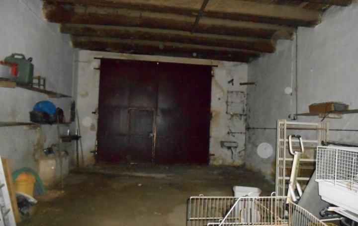 Maison SAINT-GILLES (30800)  130 m2 230 000 € 