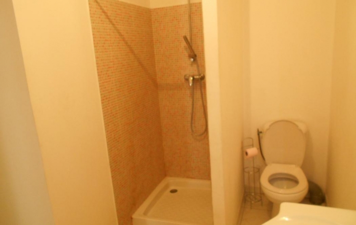 Maison SAINT-GILLES (30800)  110 m2 159 900 € 