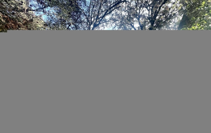 Villa SAINT-GILLES (30800)  95 m2 252 000 € 