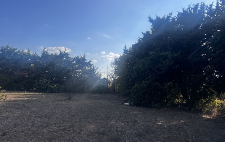 Terrain SAINT-GILLES (30800)  812 m2 113 000 € 