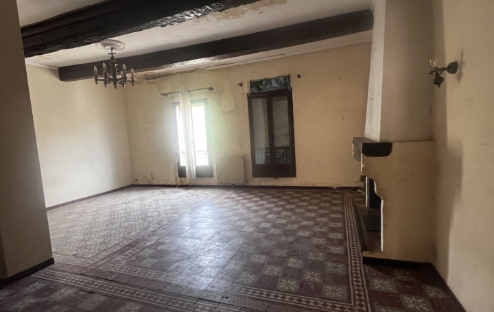 Maison SAINT-GILLES (30800)  220 m2 169 000 € 