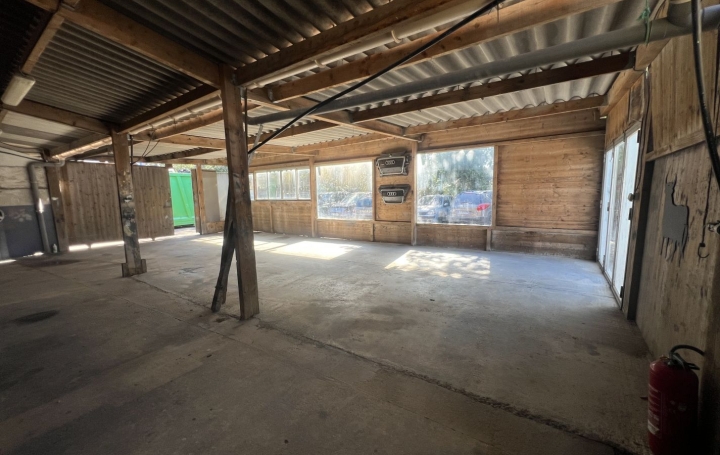 Autre SAINT-GILLES (30800)  500 m2 357 000 € 