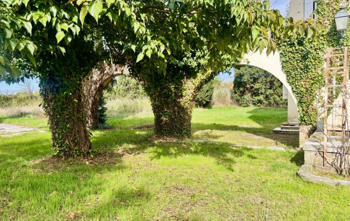 Maison BEAUCAIRE (30300)  277 m2 565 000 € 