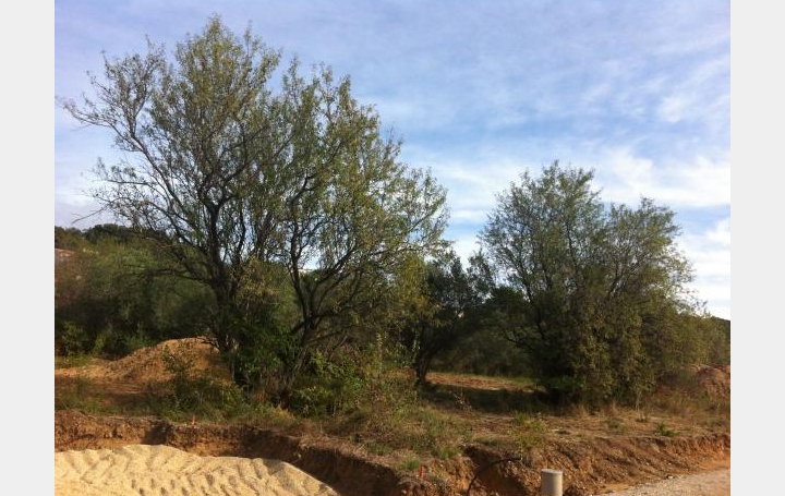 Réseau Immo-diffusion : Terrain  BELLEGARDE   113 000 € 