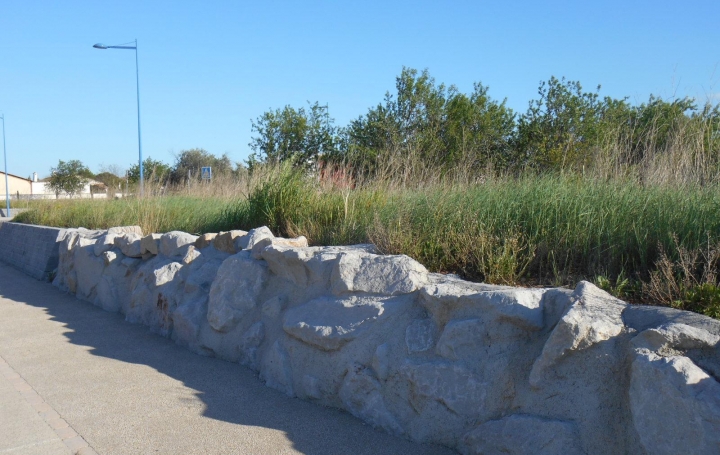 Terrain SAINT-GILLES (30800)   230 000 € 