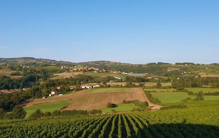 Réseau Immo-diffusion : Maison  LE BOIS-D'OINGT  213 m2 449 000 € 