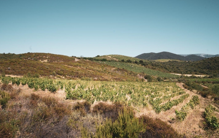 Terrain CASCASTEL-DES-CORBIERES (11360)  107 m2 130 000 € 