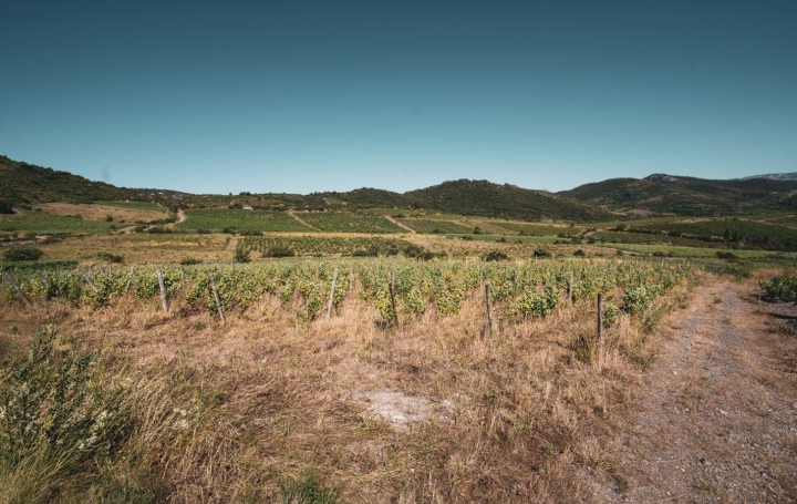 Terrain CASCASTEL-DES-CORBIERES (11360)  107 m2 130 000 € 