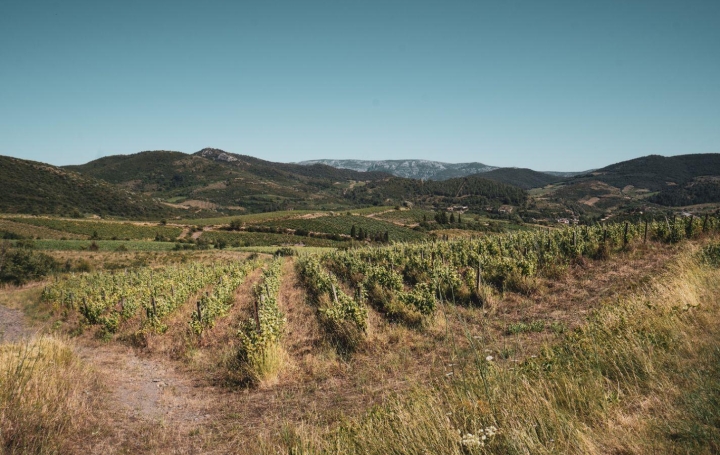 Terrain CASCASTEL-DES-CORBIERES (11360)  107 m2 130 000 € 