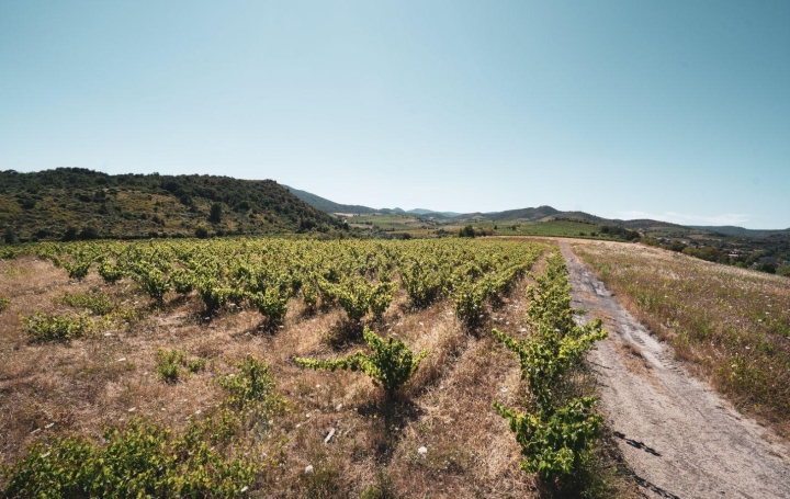 Terrain CASCASTEL-DES-CORBIERES (11360)  107 m2 130 000 € 