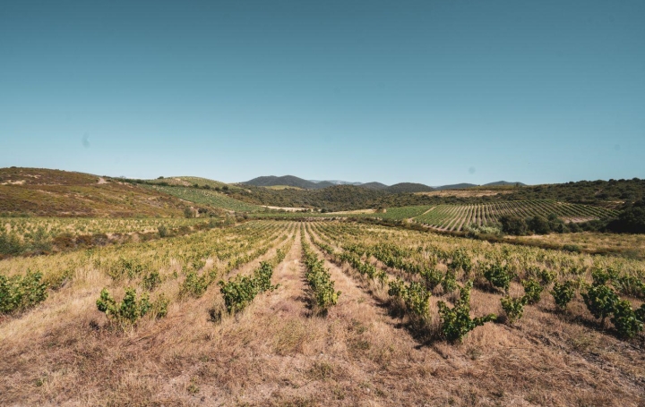 Terrain CASCASTEL-DES-CORBIERES (11360)  107 m2 130 000 € 