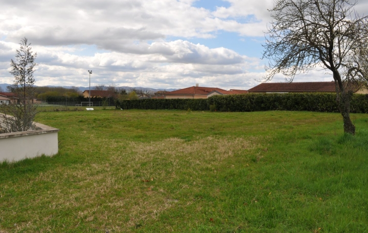 Terrain MONTMERLE-SUR-SAONE (01090) 0 m<sup>2</sup> 200 000 € 